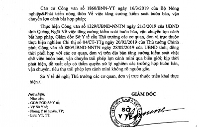 Công văn số: 489/SYT-TT V/v Tăng cường kiểm soát buôn bán, vận chuyển lợn cảnh bất hợp pháp